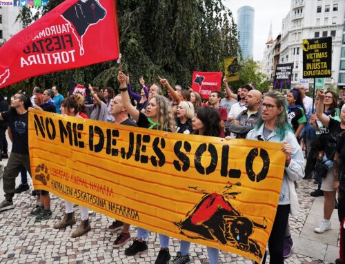Protestan en Bilbao contra el asesinato de 42 toros en esta Aste Nagusia