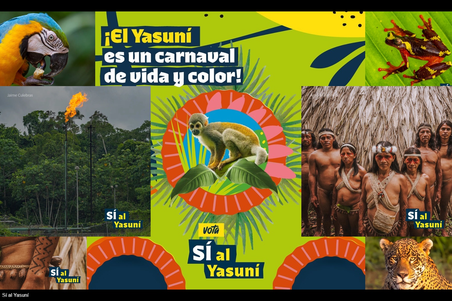 yasuní-ITT-ecuador-amazonas-petróleo-consulta-cambio-climático-rafael-correa-yasunidos
