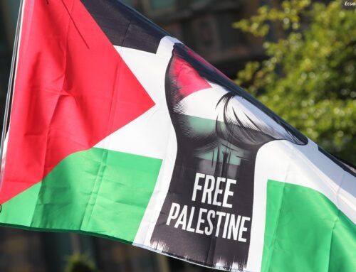 20 años de BDS: el movimiento que movilizó al mundo por Palestina